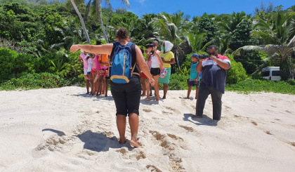 World Sea Turtle Day