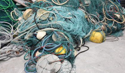 Fishermen caught using illegal net to catch 98 juvenile sharks