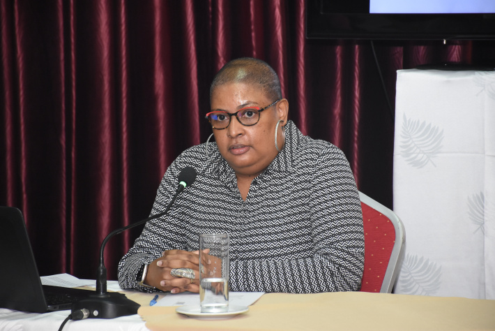 Central Bank monetary policy presentation and foreign exchange market developments