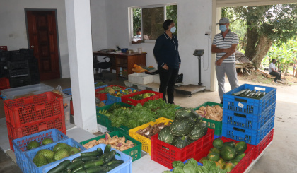 New strategies needed to re-launch agriculture in a more attractive way