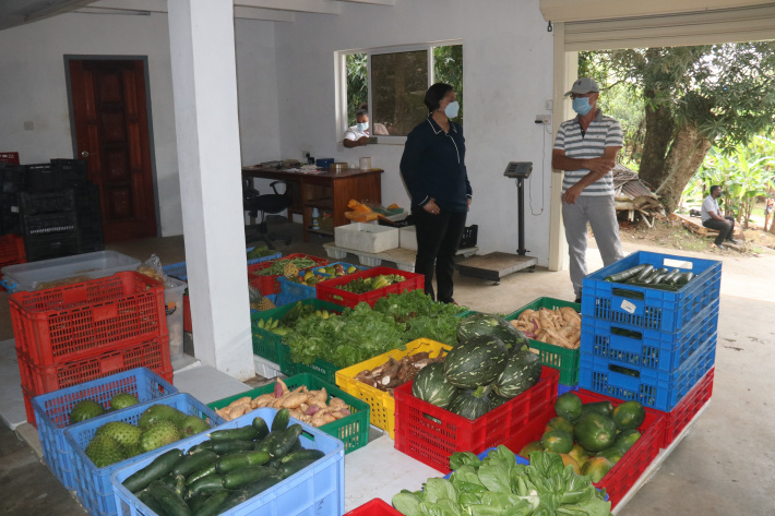 New strategies needed to re-launch agriculture in a more attractive way