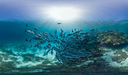 Protection of marine and coastal areas