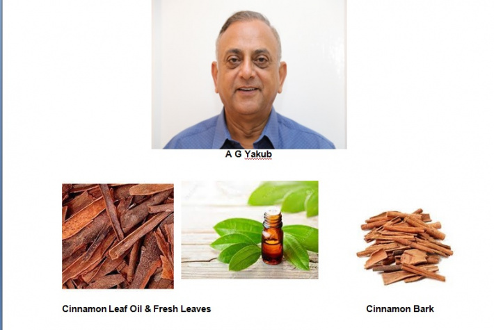 A brief history of cinnamon