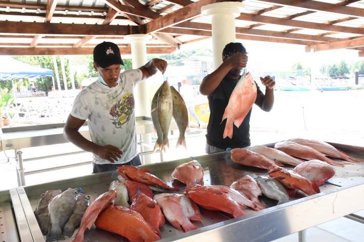 Artisanal fishing to gain  from six district projects     By Elsie Pointe   