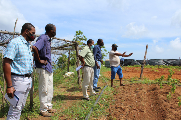Agriculture minister reaffirms support for local farmers during visits to several farms