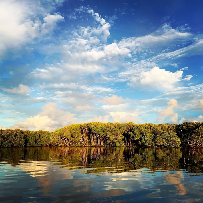 Aldabra Atoll’s mangrove extent has increased by 60 ha over the past 20 years but faces threats    