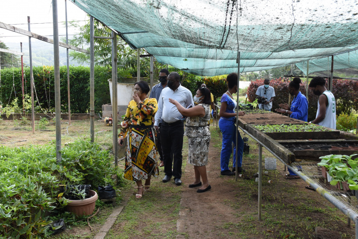 Minister for Employment meets with youths for interactive session about agriculture