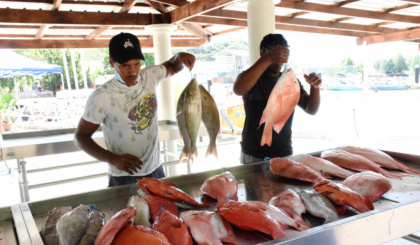 2021 Fisheries and Agriculture Review