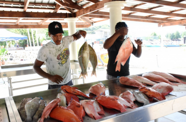 2021 Fisheries and Agriculture Review