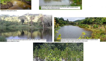 Celebrating World Wetlands Day 2022