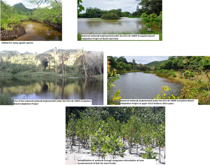 Celebrating World Wetlands Day 2022