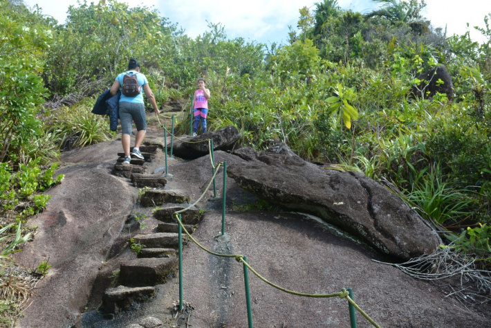 New nature book puts the spotlight on Morne Seychellois National Park