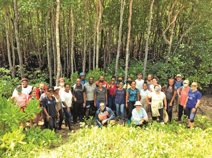 ‘Roadmap to blue carbon opportunities in Seychelles’