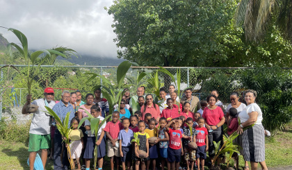 Several coconut saplings planted around Les Mamelles crèche