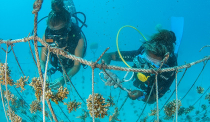 World Oceans Day 2022