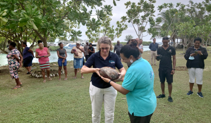 ICS boosts propagation of coco-de-mer on Silhouette Island with nut planting activity
