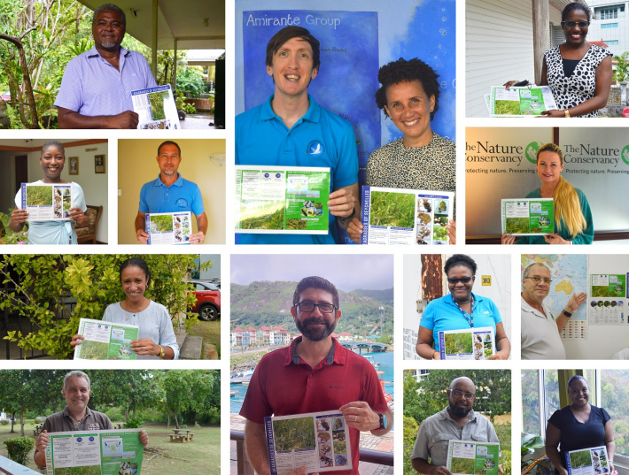 New ID cards to identify Seychelles’ seagrass