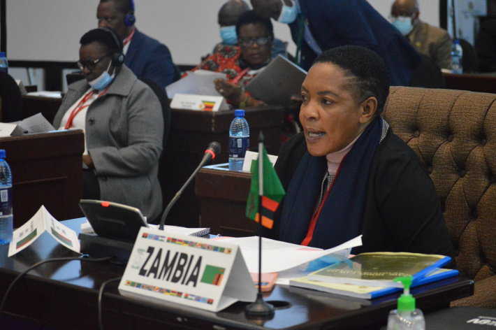 Model law on PFM adopted   