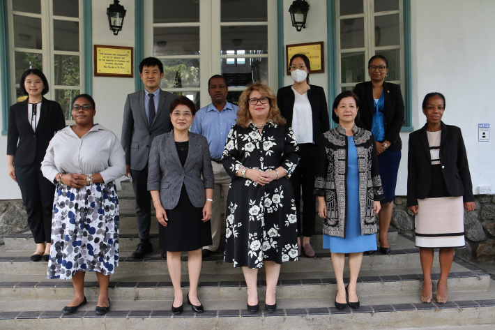 Foreign Affairs PS receives Chinese special representative on African Affairs
