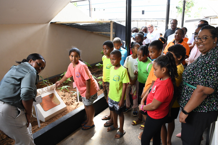 Museum of History gets its own medicinal garden   