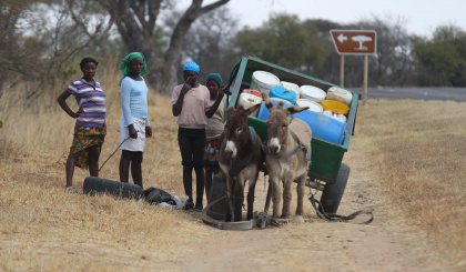 Regional dialogue on accountability puts the spotlight on health, agriculture, women & youth