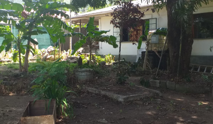 Clean Up The World:   Family department and Seychelles Defence Forces team up to beautify elderly gentleman's residence