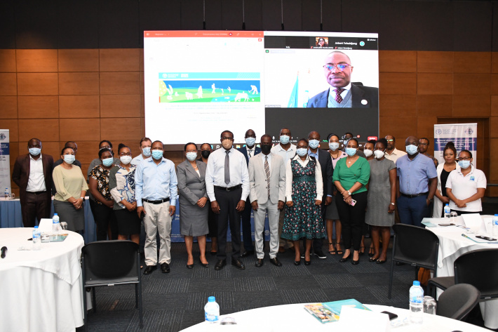 FAO supports Seychelles in drafting antimicrobial resistance action plan   
