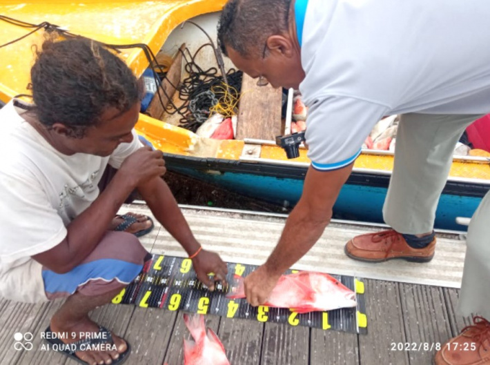 Full enforcement of fishery management plan kicks in on October 1   