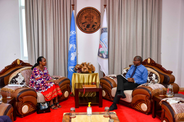 UN coordinator for Seychelles on farewell visit to National Assembly’s Deputy Speaker