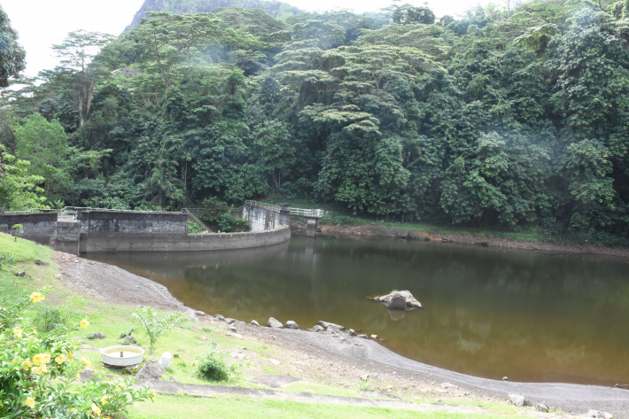 Water cuts bite as  dry weather persists     By Vidya Gappy