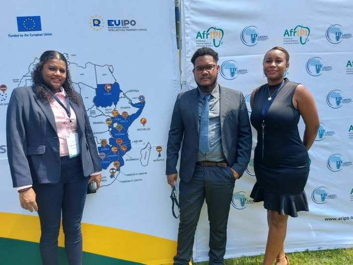 Seychelles delegation take part in communication training on ARIPO rights system