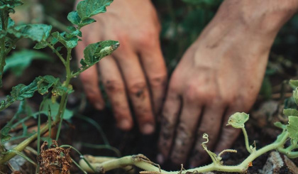 World Soil Day