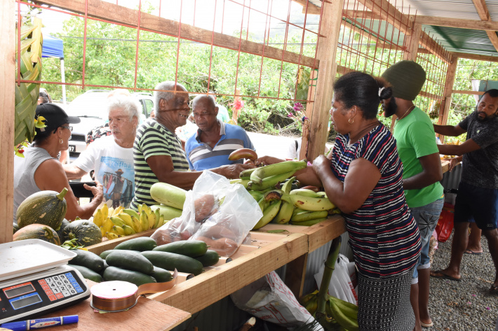 A look at some key developments in fisheries and agriculture sectors in 2022
