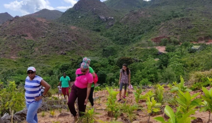 TRASS deems Pasquiere’s restoration project a success