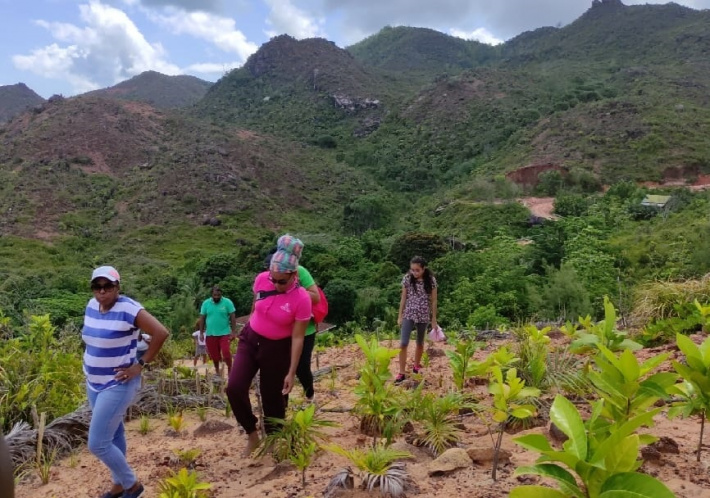 TRASS deems Pasquiere’s restoration project a success