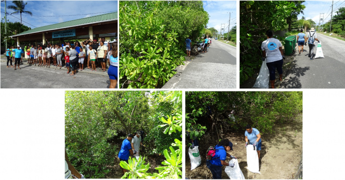 Successful wetland clean-up at Baie Ternay and Port Launay marine parks