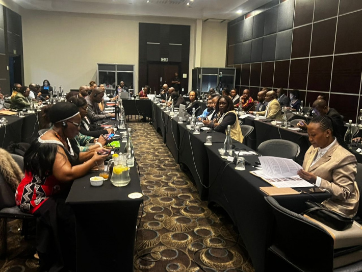 Hon. François Adelaide attends validation meeting for the SADC PF SRHR governance project
