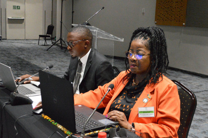 MPs urged to dump ineffective rhetoric for action
