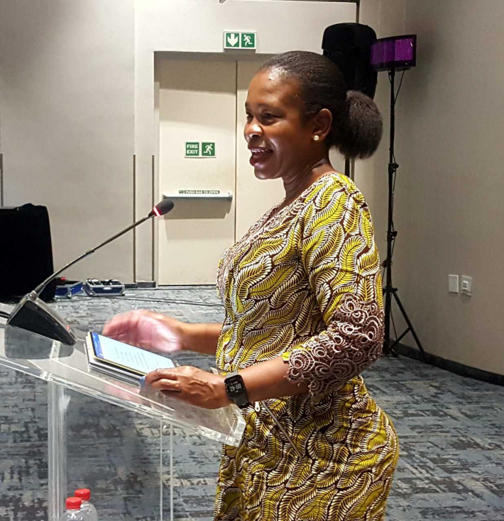 Call to domesticate SADC model laws