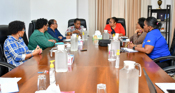 Women’s Parliamentary Caucus discusses domestic violence with ministerial stakeholders