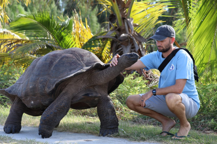 Return of the dinosaurs: Aldabra Giant Tortoises roaming free on Alphonse