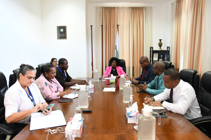Assembly gives inputs on public health’s programme for HIV, hepatitis, STIs, and TB