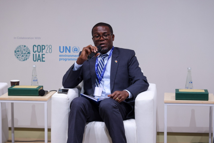 Minister Flavien Joubert participates in Climate Discourse at COP28