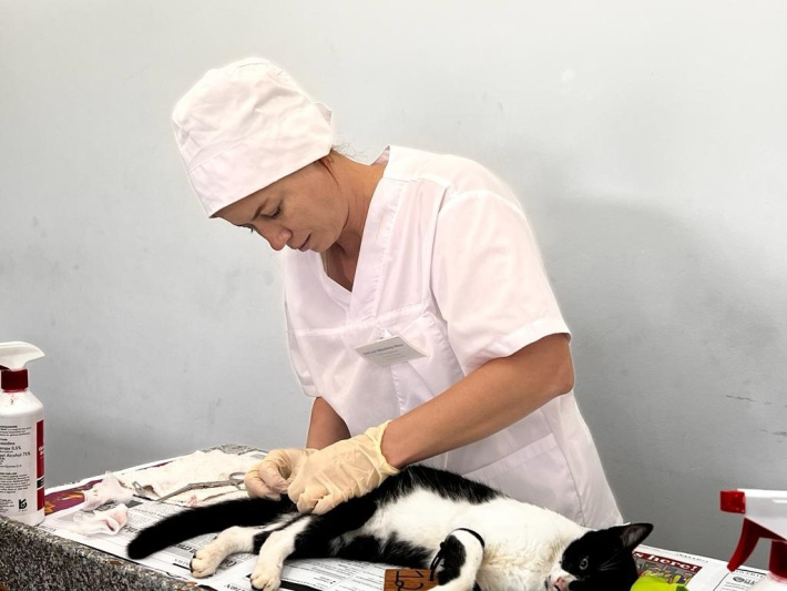 Collaborative mass sterilisation clinic  hailed a success