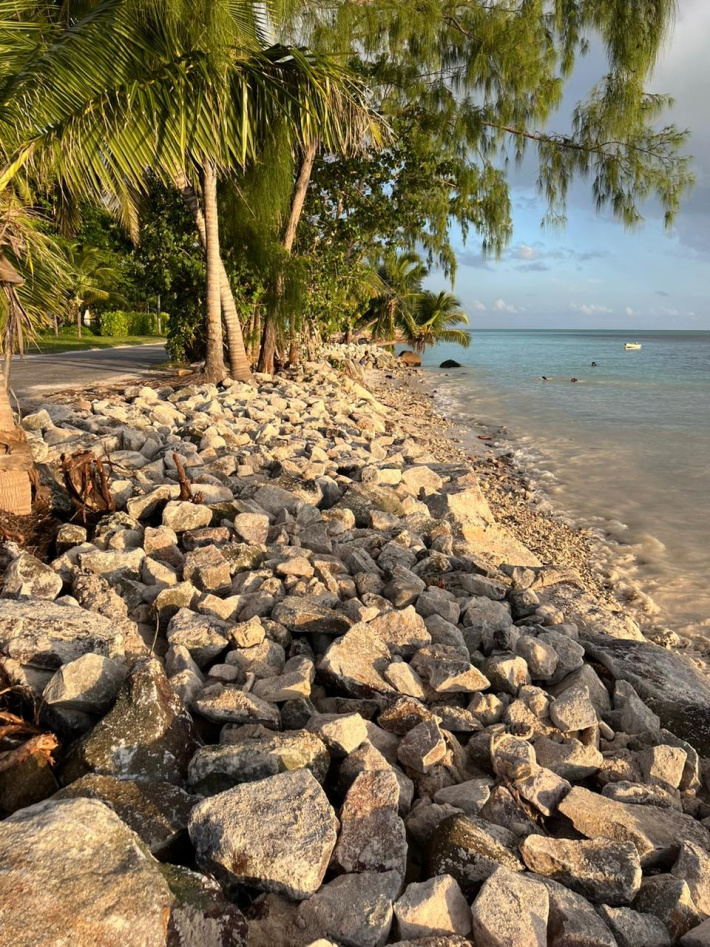 Major progress in works on Praslin to mitigate coastal erosion and road degradation