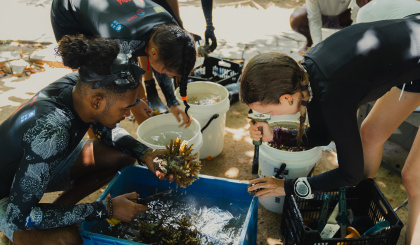 When a hotel saves marine life