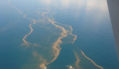 Algal Bloom event spotted off the coast of Praslin and Mahé