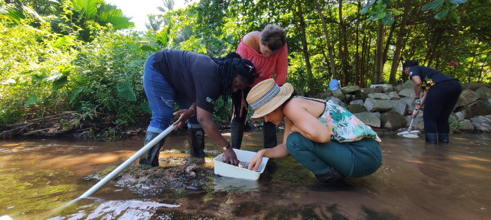 Communities learn about citizen science monitoring for river health