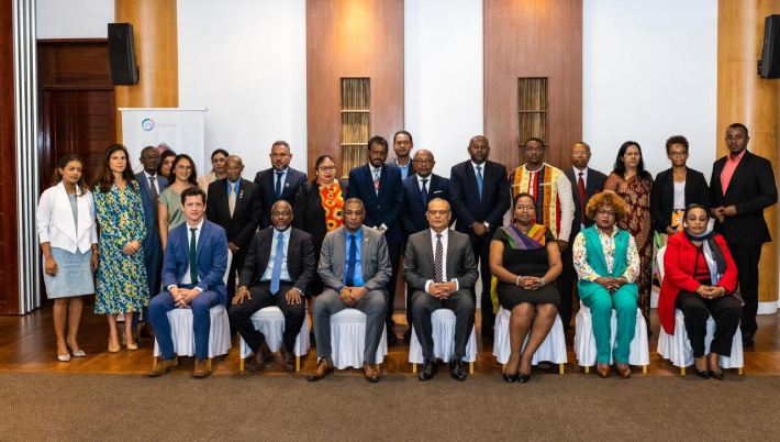 Parliamentary delegation attends plenary of AP-COI