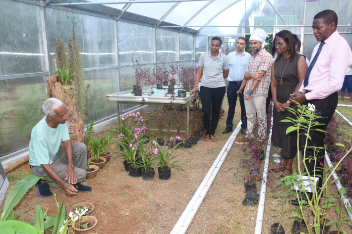 Seychelles opens Orchids Collection Greenhouse